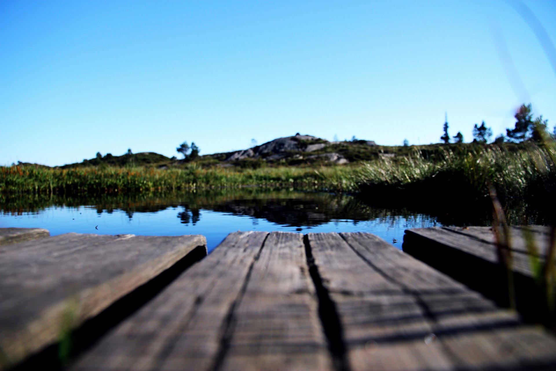 puente río lago agua plantas naturaleza