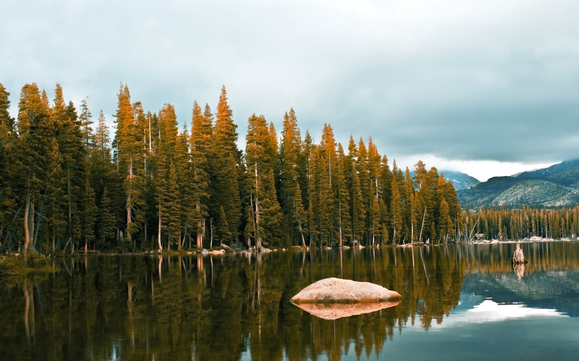 paisajes bosques árboles piedras agua río lago belleza