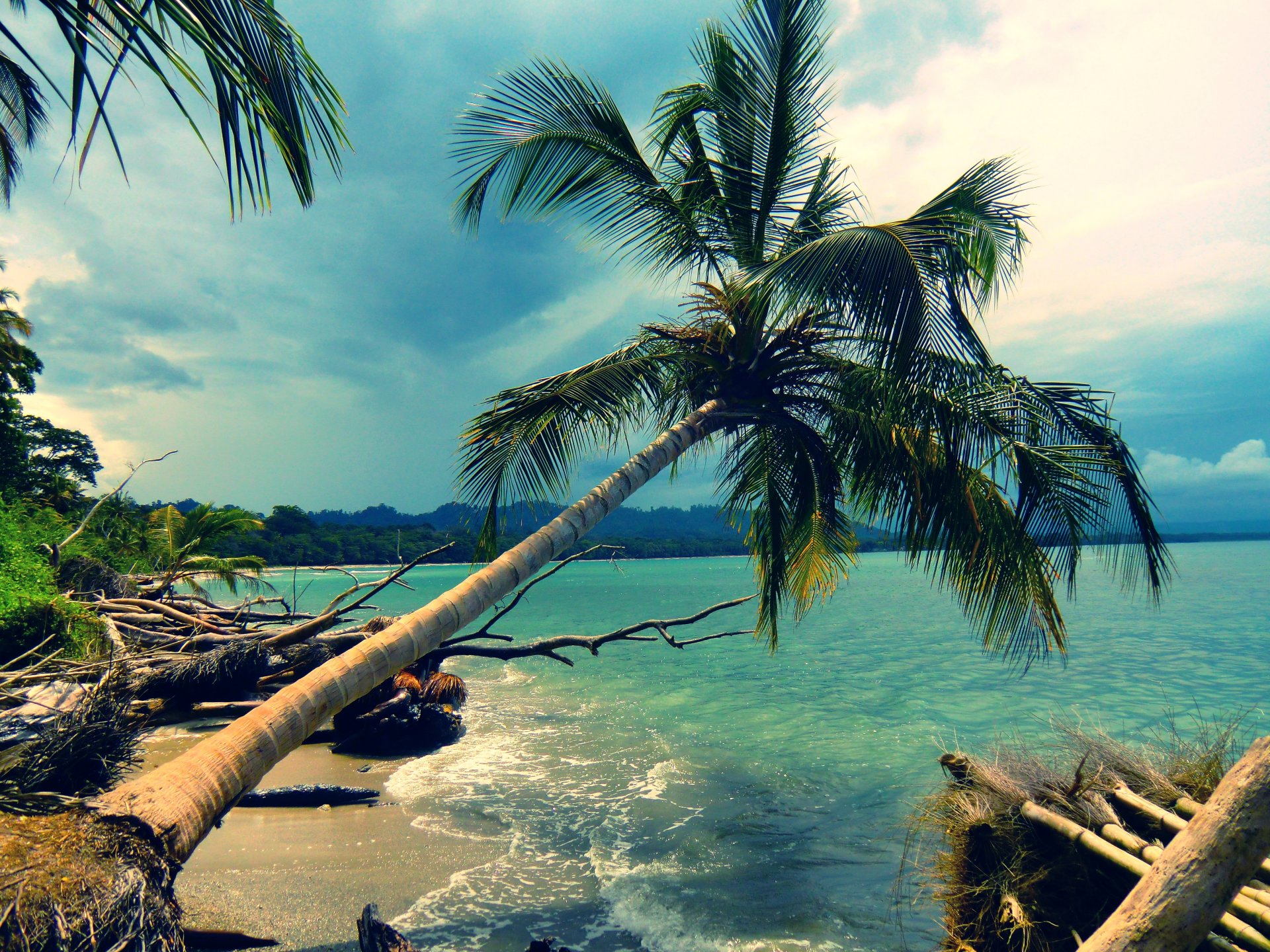 landschaft natur strand insel palme küste küste azurblau palmen ozean