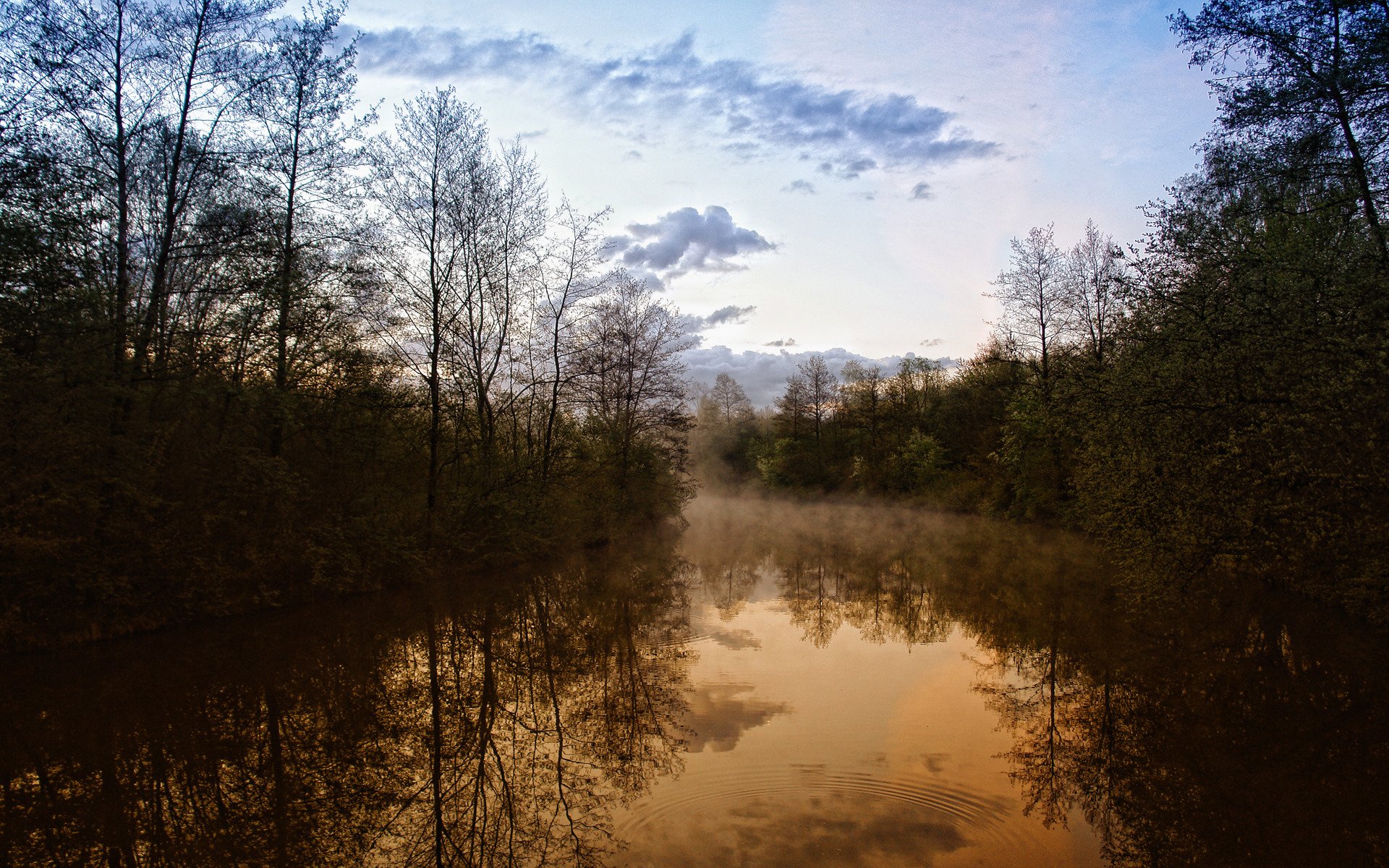 noche naturaleza vista belleza río bosques árboles neblina