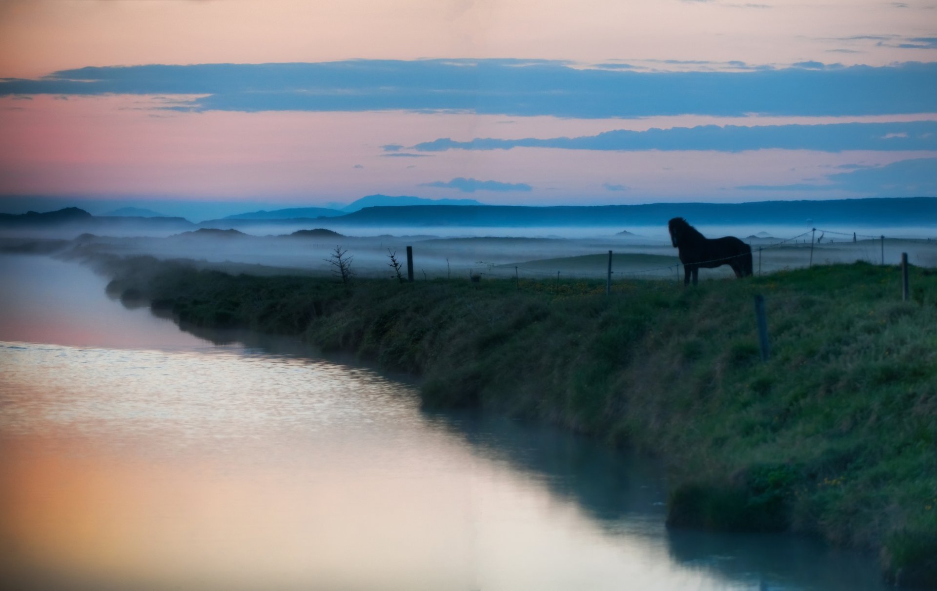 landscapes animals river lake water horses horse fog haze