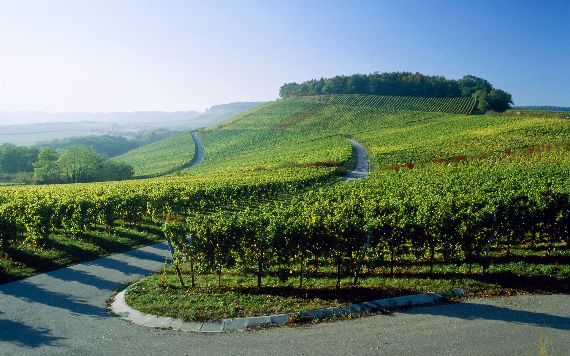 germania vigneti strada