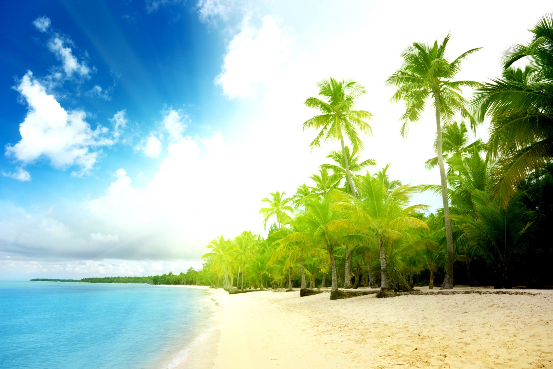 paysage plage sable palmiers eau mer océan été côte vagues nuages ciel soleil