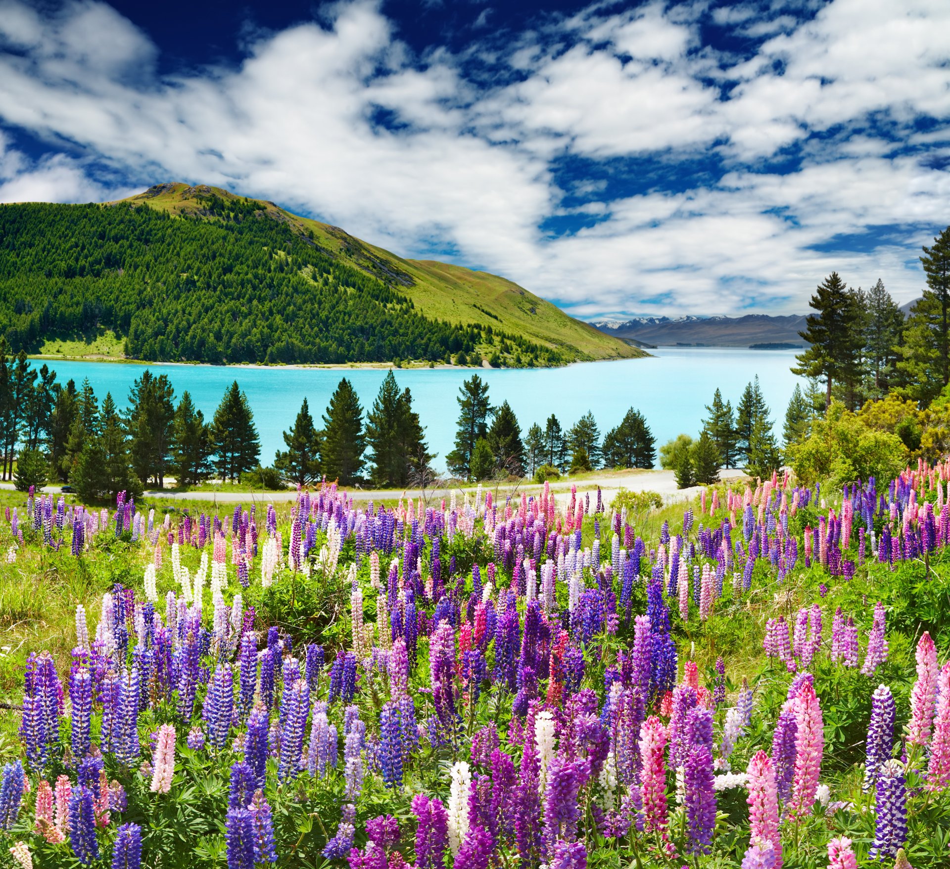 lavanda montagne blu cielo lago nuvole foresta alberi paesaggio