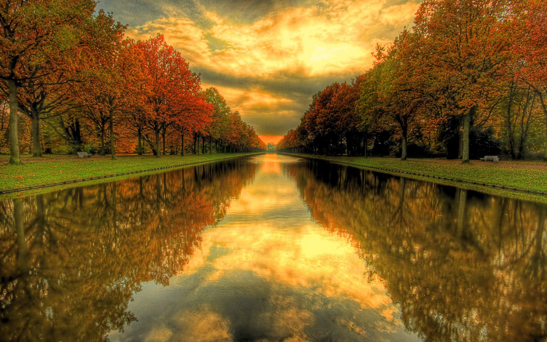 paesaggio natura acqua erba autunno albero alberi parchi