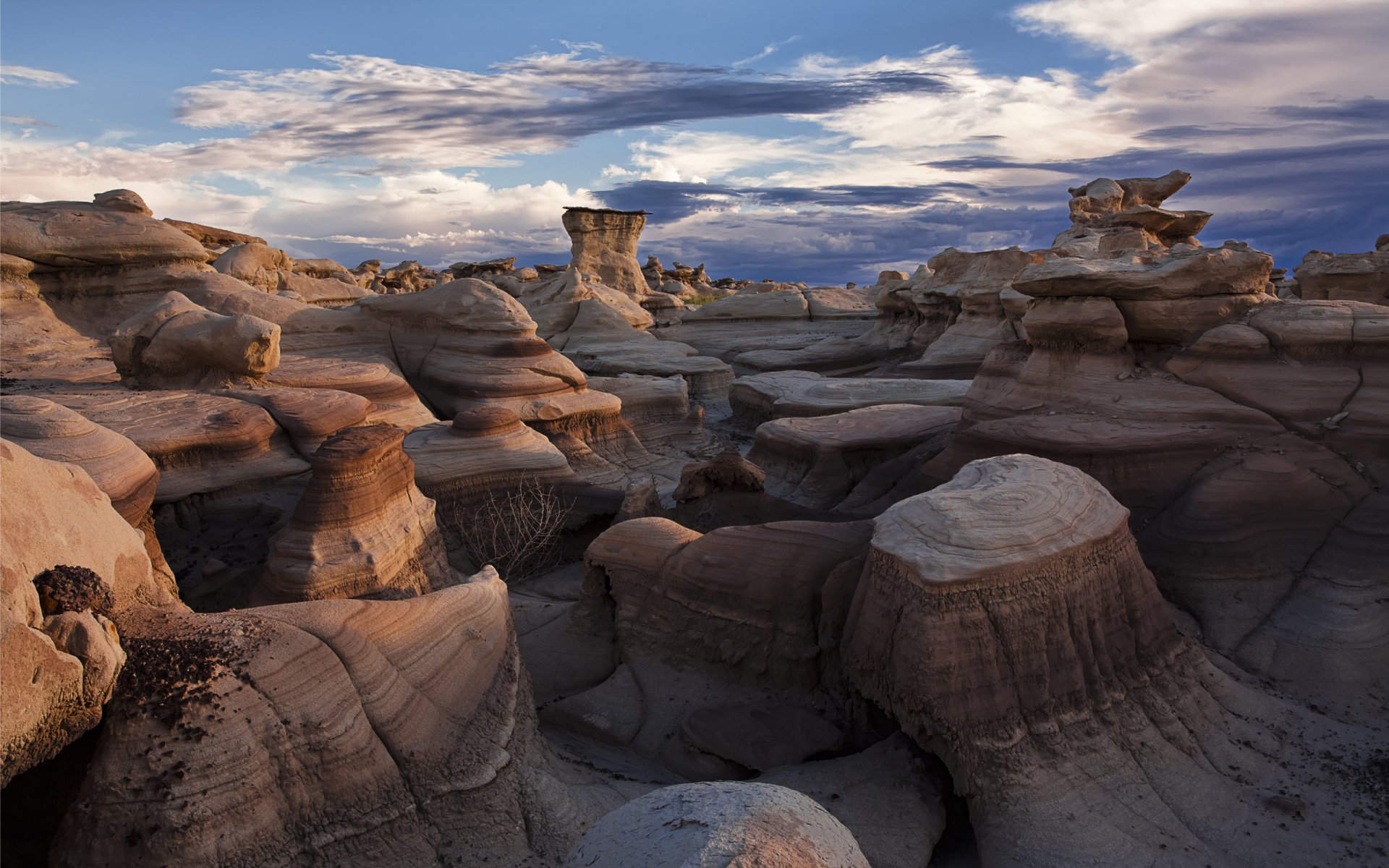 bisti tierras baldías desierto piedras