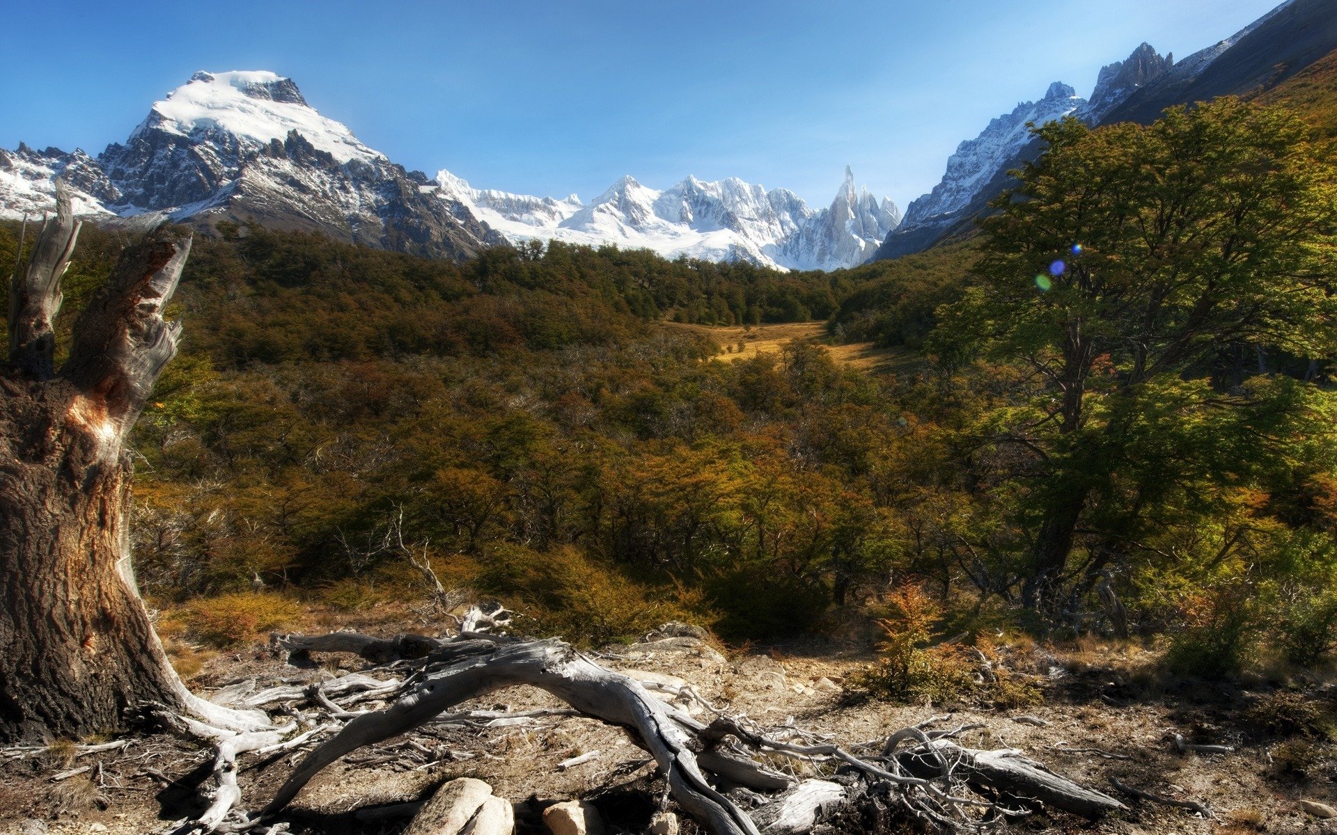 mountain nature landscape forest plants sky mountains rocks trees snow