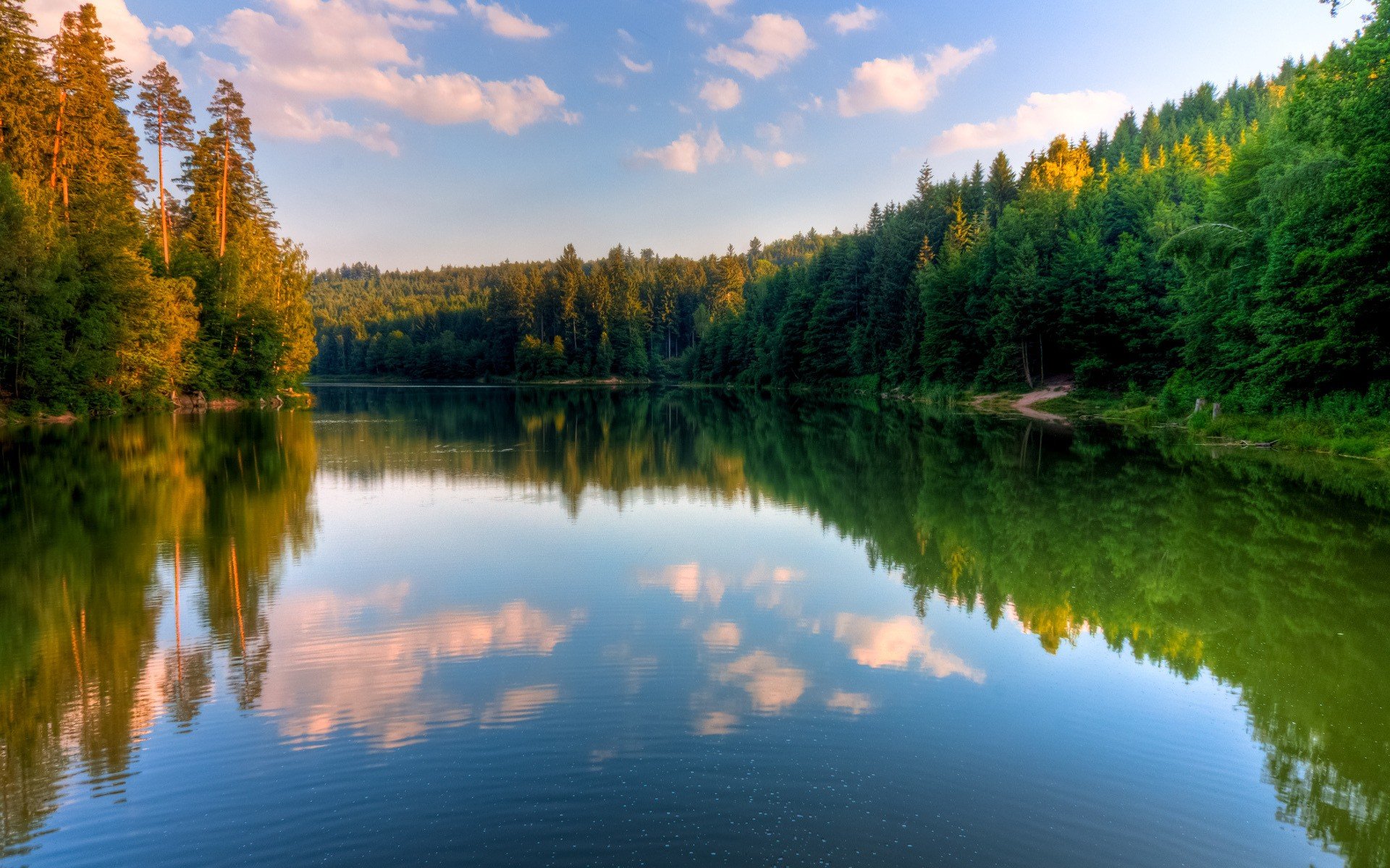 see wald wasser reflexion