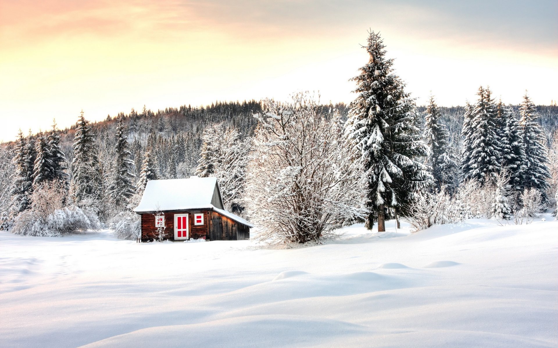 winter lodge winter forest tree house snow