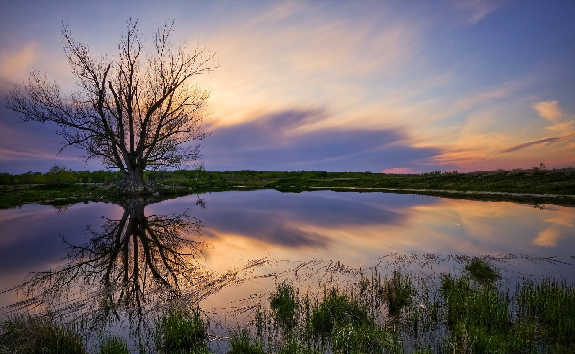 paysage nature lac côte arbre ciel coucher de soleil