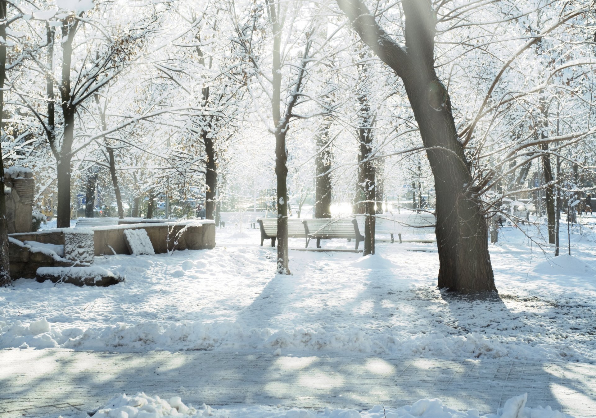 neve alberi inverno parco dervya panchine neve raggi sole