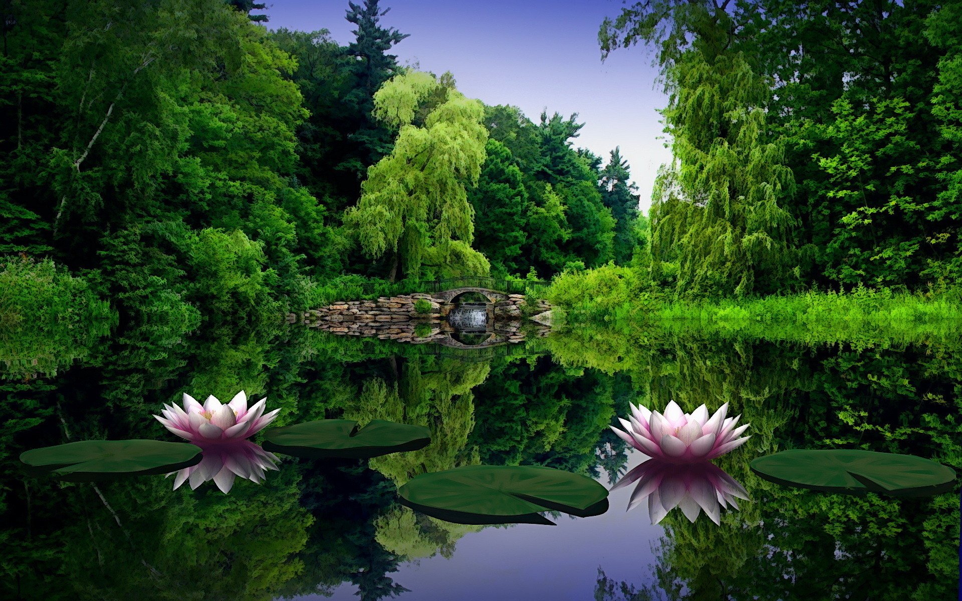 pond bridge water lilies willow water