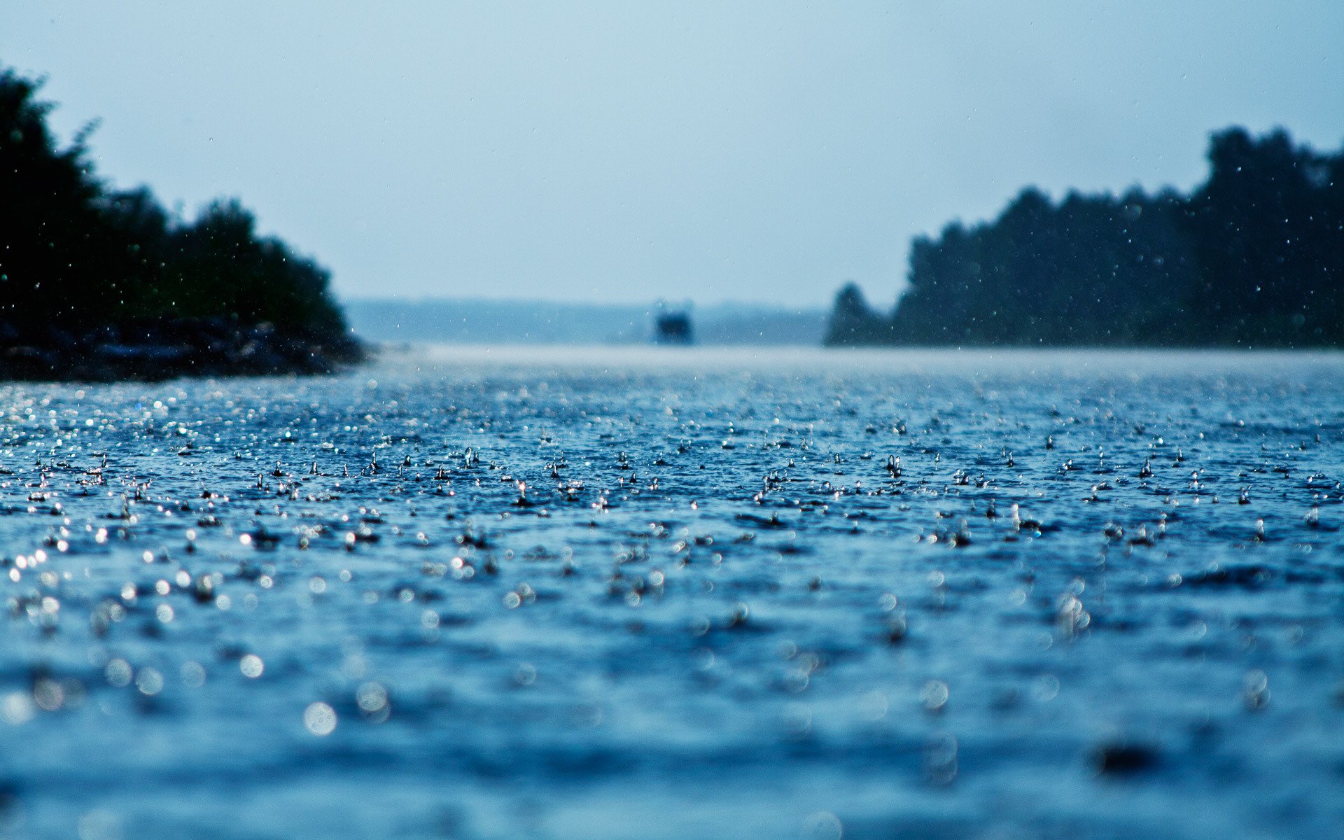 close up drops rain