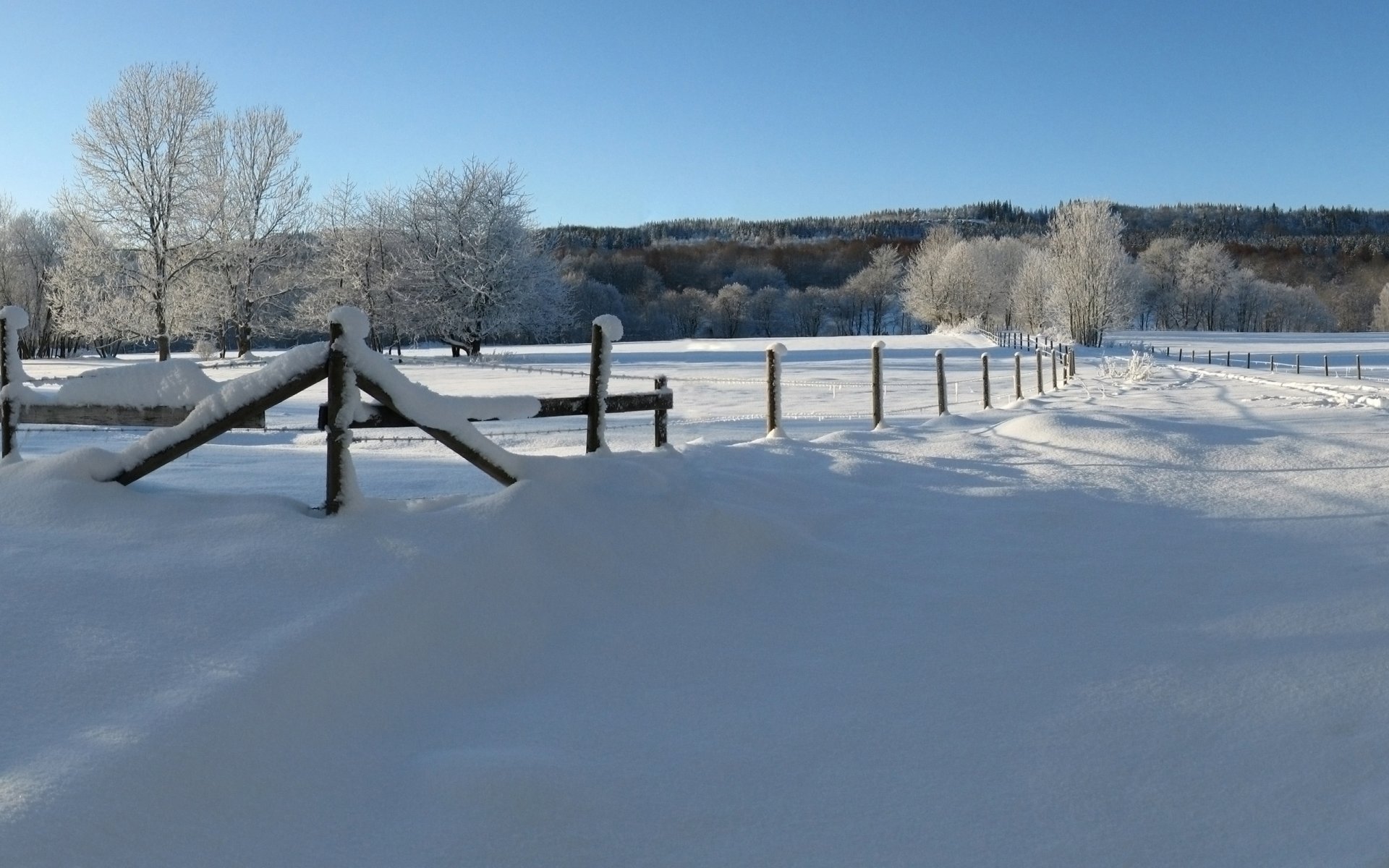 dezember winter schnee