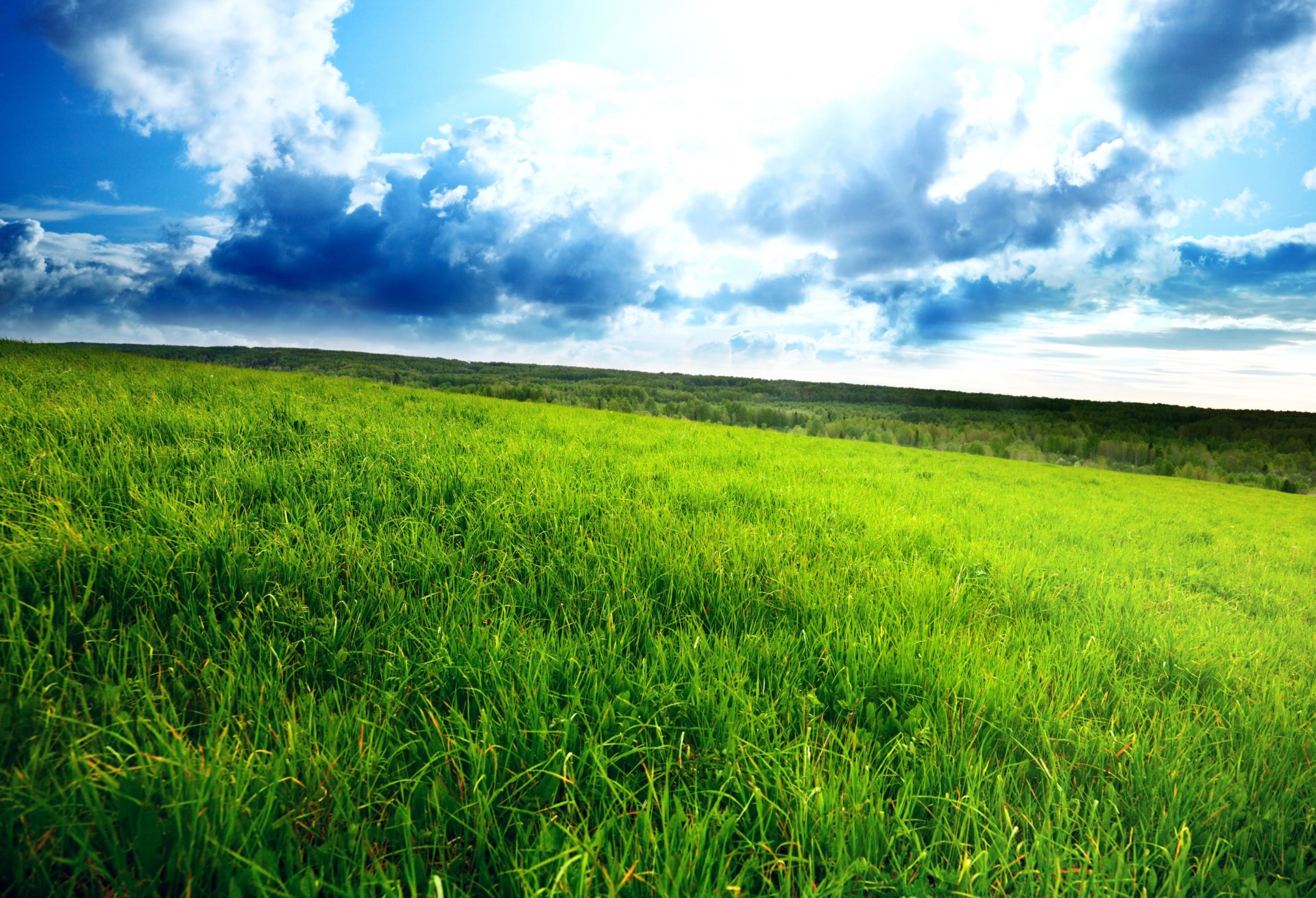 grünes feld bewölkter himmel feld dick gras horizont wolken landschaft