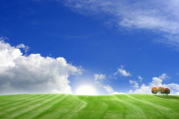 Green fields against a blue sky