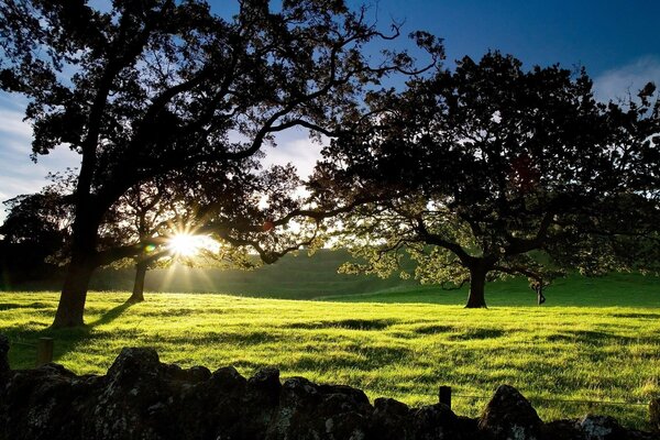 Dawn in New Zealand