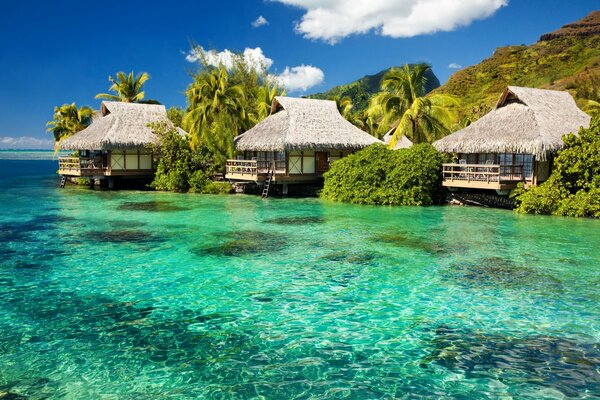 Bungalow con palmeras en una isla en el océano