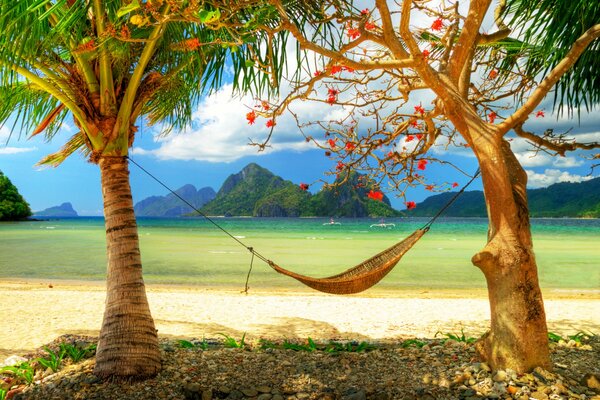 Strand und Meer in der Nähe Hängematte zum Entspannen