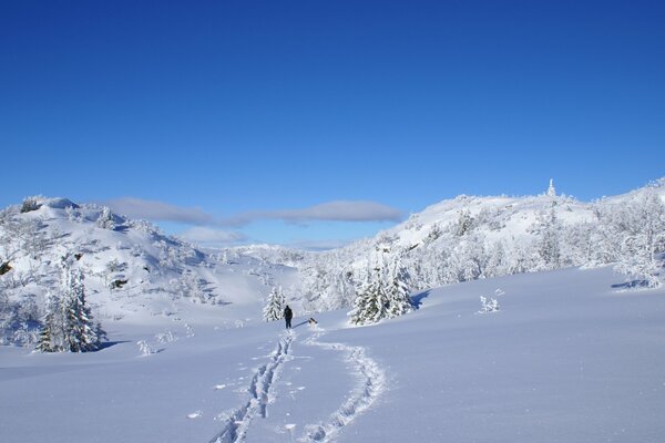 Paisaje frío nevado de invierno