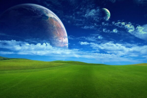 Planets in the sky and green grass