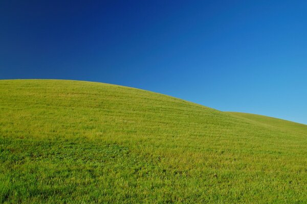 Colline herbeuse verte, beau ciel