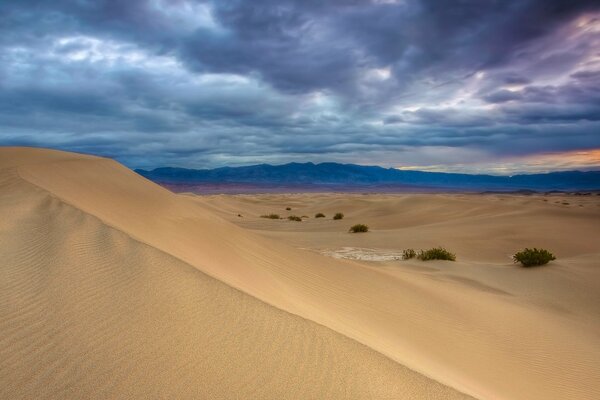 Large-format desert landscape with clouds