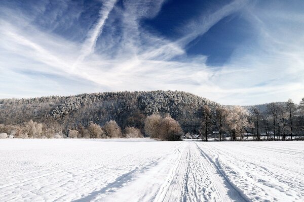 Winter road to sunny forest