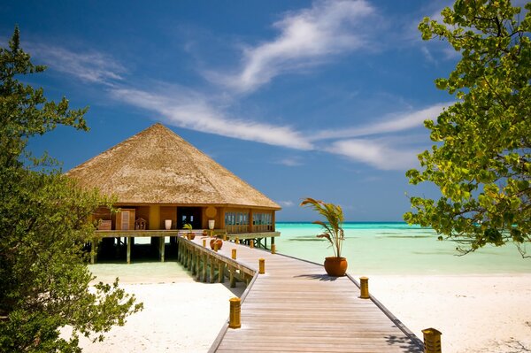 Wooden path to the bungalow on the azure tropical coast