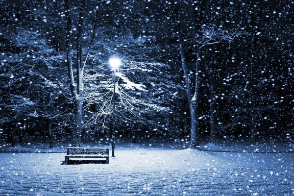 Banc vide dans une froide soirée d hiver