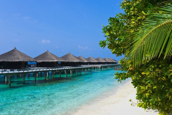 Maisons sur pilotis sur une plage tropicale