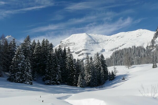 Die schneebedeckten Berge und der Wald im Winter sind etwas Schönes