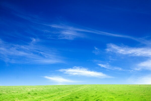 Landschaft mit Himmel und Gras