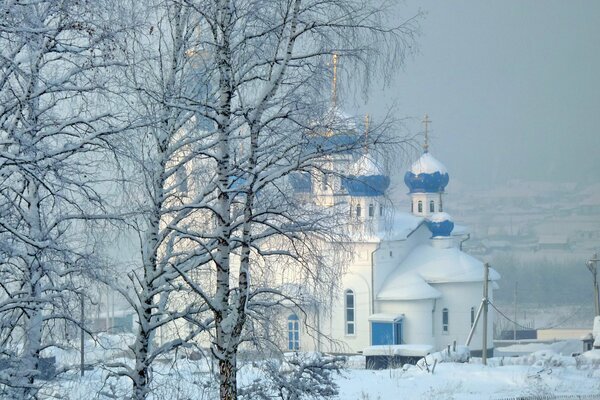 Nature d hiver sur fond d église