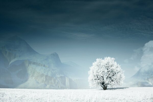 Árbol cubierto de nieve en el fondo de las montañas