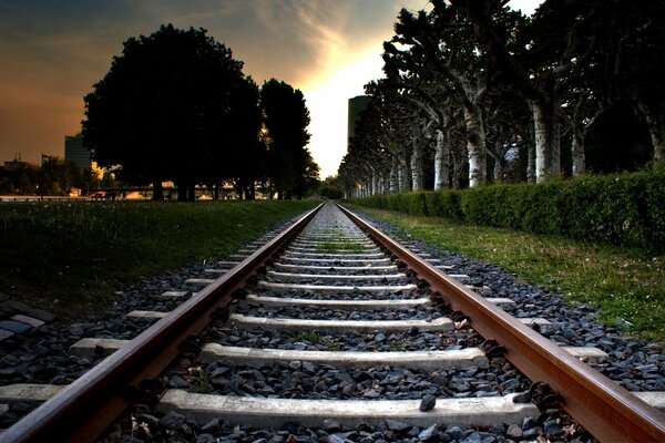 Ferrocarril cerca del callejón del bosque