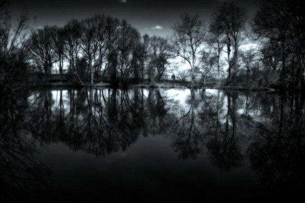 Paesaggio notturno acqua e alberi