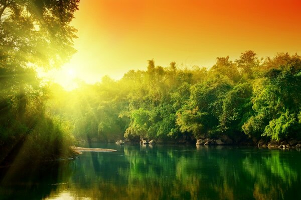 Trees are reflected in the forest lake