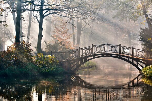 A beautiful park with a bridge pierced by the rays of the sun