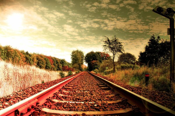 Paesaggio autunnale. Rotaie che vanno in lontananza