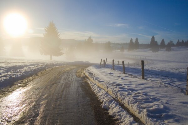 Strada invernale nella foresta innevata