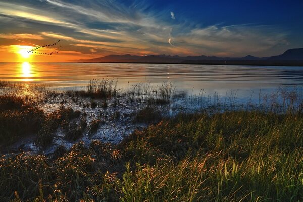 Banco de aves en el fondo del cielo al atardecer y el lago