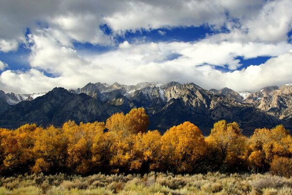 der goldene Herbst. Bäume und Berge