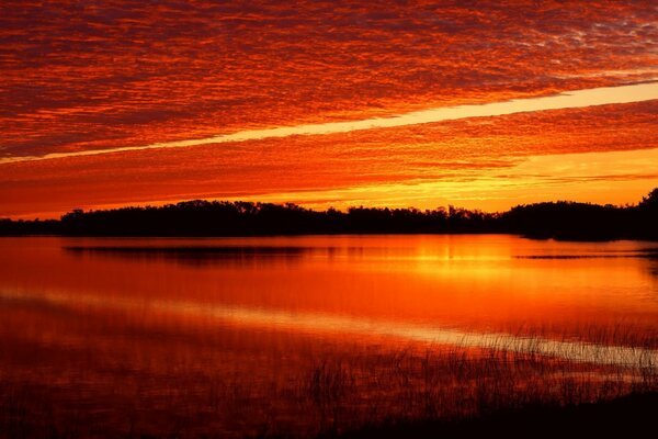 Wie ein blutiger Sonnenuntergang am See