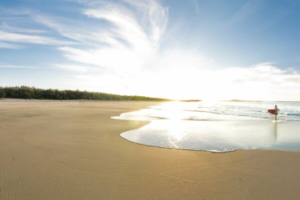 Blue sky and golden beach