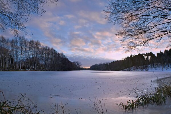 Ice over the river. Winter in the forest