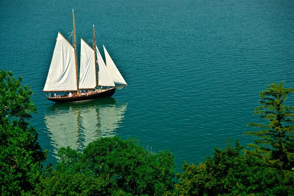 Sailboat at sea. Trees on the shore