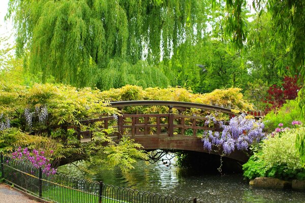 Красивый весенний сад с речкой