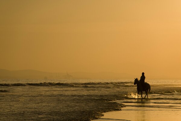 Schönes Bild von Pferd und Reiter bei Sonnenuntergang