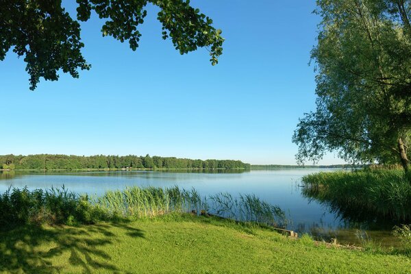 Belle nature, rivière dans les roseaux